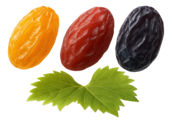 Soft pretzel bun stuffed with julienne of wild mushrooms, accented with a sprinkle of thyme.