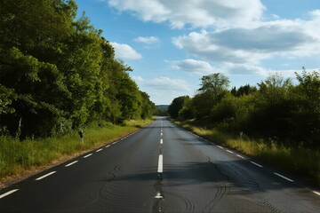 A peaceful country road surrounded by lush green trees under a clear sky