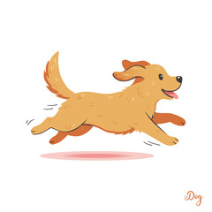 Running Golden Retriever Puppy