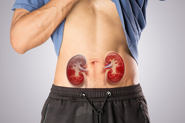 Image shows lower back kidney pain, a common symptom of chronic kidney disease or acute renal...