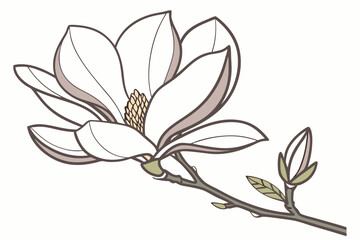 vector illustration of a flower