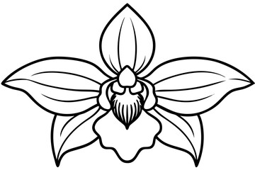 black and white flower