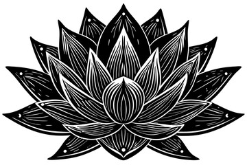 Fototapeta premium lotus flower vector
