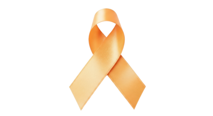 Isolated Peach Satin Awareness Ribbon isolated PNG with Transparent Background