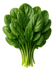 Rectangular white plate with a trio of mini chocolate tarts, each topped with a raspberry and mint sprig