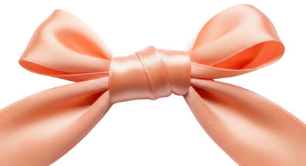 Elegant Peach Satin Ribbon Bow isolated PNG with Transparent Background
