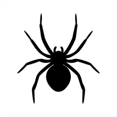 spider silhouette vector illustration