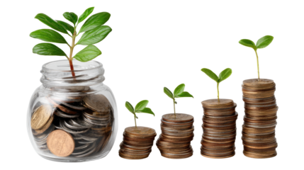 A clear glass jar filled with coins, with green plants growing on top of stacked coins, symbolizing financial growth and investment.