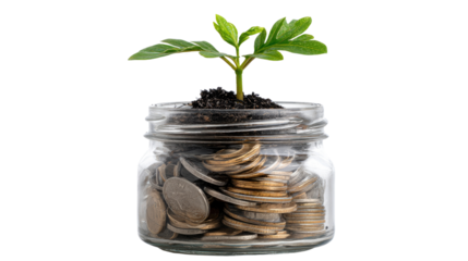 A small green plant growing from a jar filled with coins, symbolizing investment, growth, and prosperity. The image represents financial success and sustainable development.