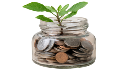 A glass jar filled with coins and a green plant sprouting from the top, symbolizing growth and investment. Ideal for financial and business-related themes.