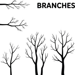 Obraz premium Tree Branches Silhouette Vector Set, Winter Bare Trees Illustration, Isolated Nature Elements, Black Branch Design, Leafless Tree Graphics, Seasonal Forest Elements