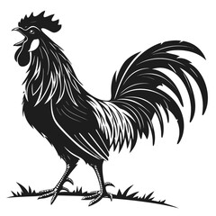 rooster vector illustration