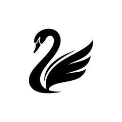 black swan vector illustration