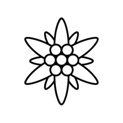 Stylized outline drawing of an edelweiss flower