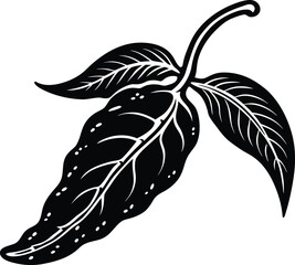 Detailed macro shot of vibrant red rose petals with subtle texture isolated on transparent background