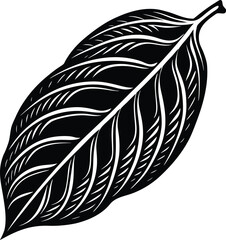 Close up macro view of a single realistic autumn leaf showing intricate veins and texture isolated on transparent background