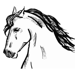 Horse ink, hand draw. Doodle. Vector, isolated. Brush strokes.