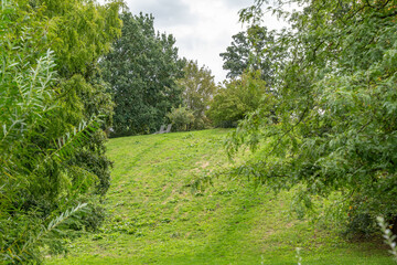 A peaceful grassy hill with two chairs invites relaxation. Tall trees surround the quiet green slope.