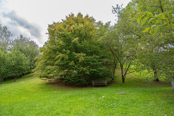 A bench rests in the shade of tall leafy trees. The green meadow spreads gently around the wooded area.