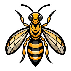 bee on white background