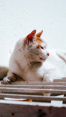 Street and City Views of Istanbul, Turkey