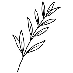 Herbal Twig Line Vector