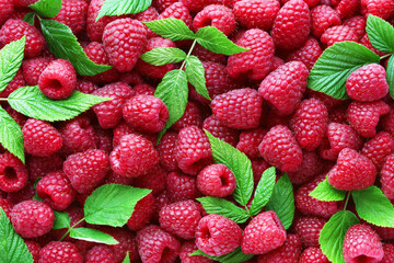 Juicy ripe raspberries with leaves as background, top view.