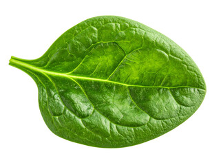 Obraz premium Spinat png