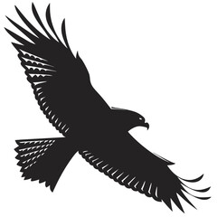 eagle vector illustration