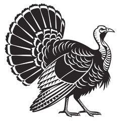 turkey with a feather