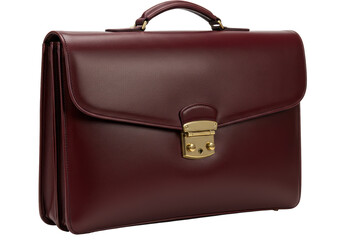 Isolated leather briefcase, business bag with gold hardware and handle, elegant accessory