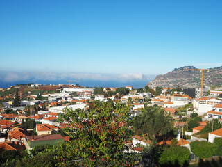 Fototapeta premium Viewpoint overlooking Funchal