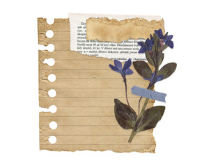 Retro Botanical Note with Dried Flower and Grunge Paper. Torn Aesthetic Notepaper for Scrapbook and Collages