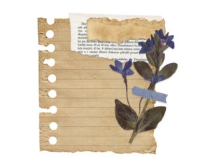 Retro Botanical Note with Dried Flower and Grunge Paper. Torn Aesthetic Notepaper for Scrapbook and Collages