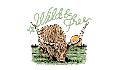 Vintage illustration of a Texas Longhorn bull in a field. Retro western artwork with Wild and Free quote for t shirt print