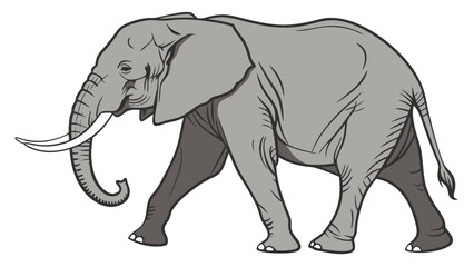 Obraz premium African Elephant Illustration Walking Animal Wildlife Graphic Grey Mammal Tusks Trunk Side Profile Vector Art.