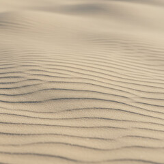 Obraz premium sand texture background