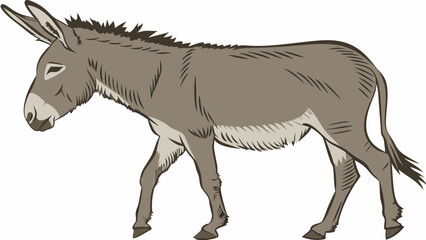 Fototapeta premium Gray Donkey Walking Equine Animal Illustration Farm Animal Clipart Side View Cute Donkey Cartoon.