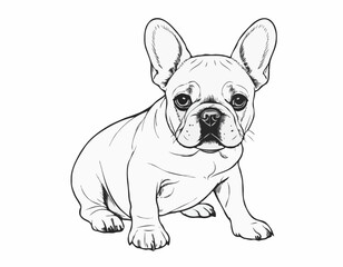 French bulldog puppy hand drawn sketch Vector illustration.