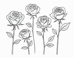Set of roses sketch hand drawn in doodle style illustration