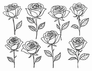 Set of roses sketch hand drawn in doodle style illustration