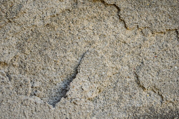 Close-Up of Weathered Beige and Gray Granular Surface with Cracks