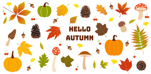 set of isolated autumn plants - vector illustration, eps