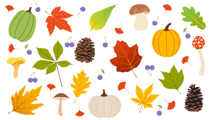 set of isolated autumn plants - vector illustration, eps