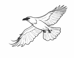 Raven flying silhouette hand drawn sketch illustration