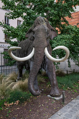 Statue de mammouth &agrave; la galerie de Paleontologie et d'Anatomie comparee de Paris