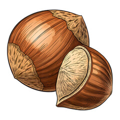 Close up of two whole hazelnuts with one cracked open on a black background