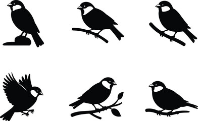 Silhouette set of cute sparrow birds perched on branches and flying in various poses isolated on white background vector.