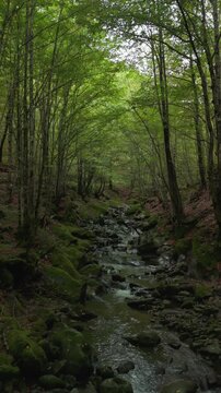 Part 1. Vidima river in Stara planina / Balkan mountains / Apriltsi
Bulgaria