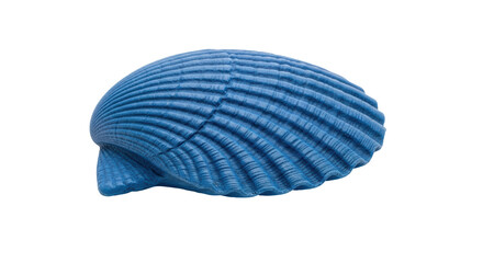 Isolated blue clam shell on a seamless backdrop, maritime motif, aquatic nature object